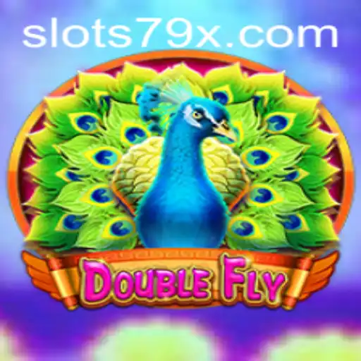 DoubleFly: Navigating the Exciting World of 79x